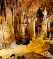 Half day Tour to the Caves of Drach Half day Tour to the Caves of Drach